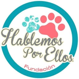Foundation